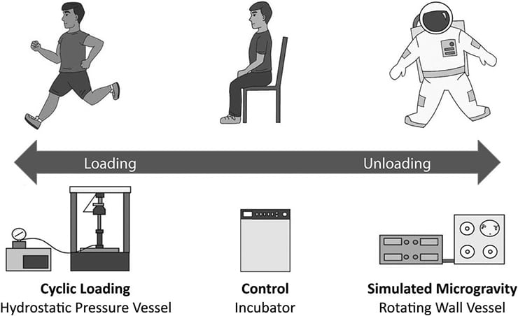 mechanical loading spectrum