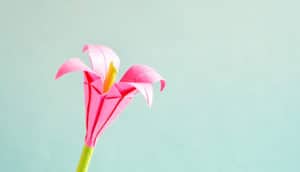 pink origami flower on green