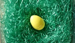 plastic egg in plastic grass
