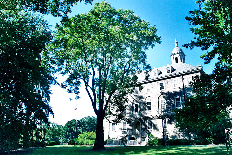 tree-of-heaven on Penn State campus