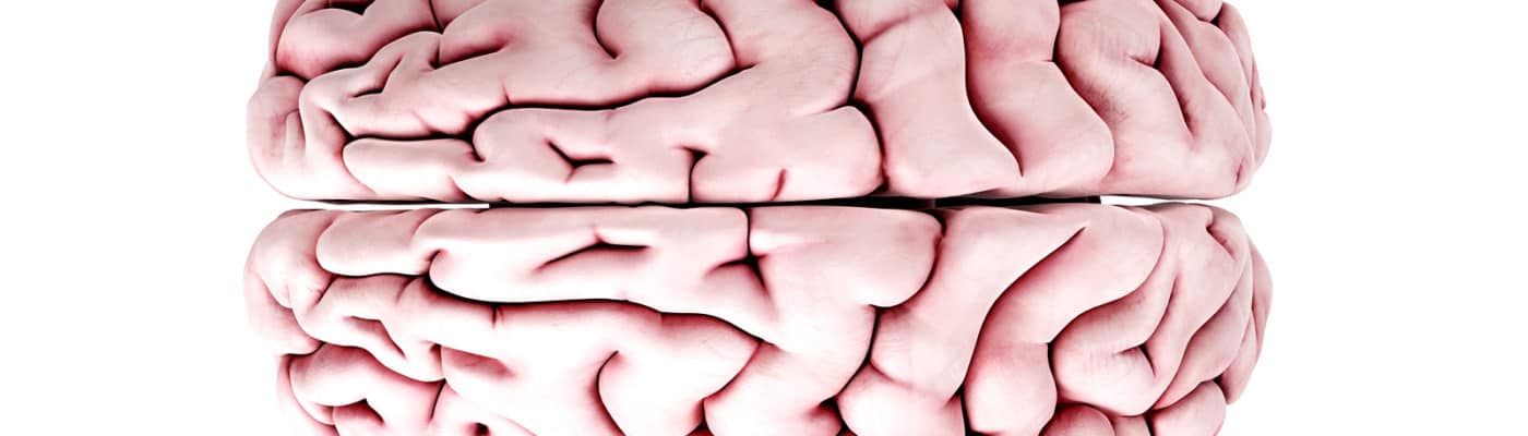pink brain on white