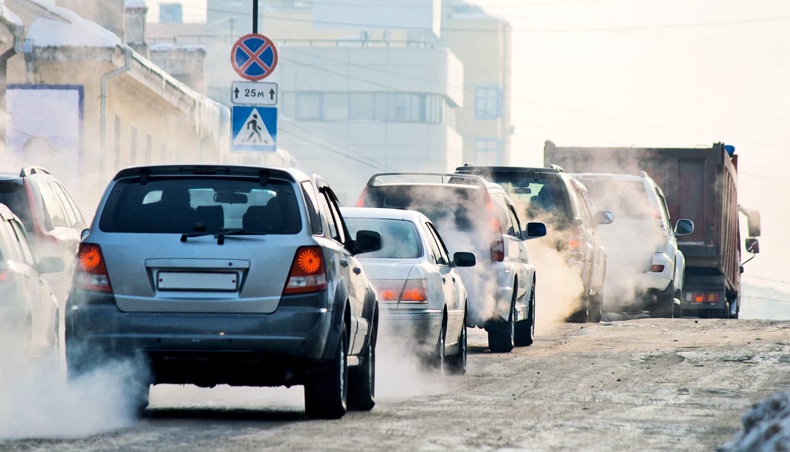 Air pollution is bad for our kidneys Futurity