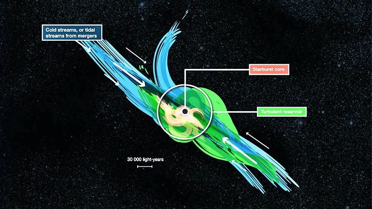 galactic winds and turbulent reservoir around starburst galaxy