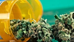 medical marijuana