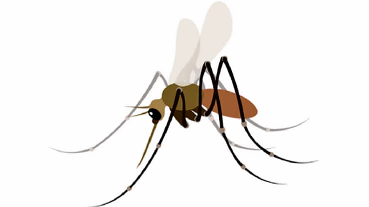 mosquito emoji idea