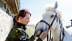 woman puts bridle on horse