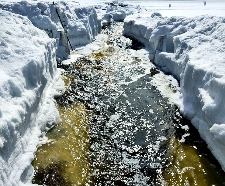 Tanih permafrost