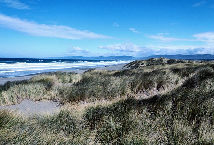 beach near Crescent City