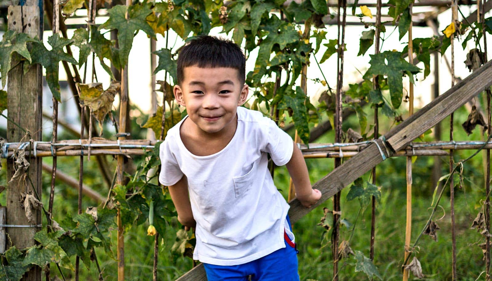 An Upside Of Having Adhd Outside Box >> Attention Deficit Hyperactivity Disorder Adhd Archives Futurity An Upside Of Having Adhd Outside Box >> Attention Deficit Hyperactivity Disorder Adhd Archives Futurity