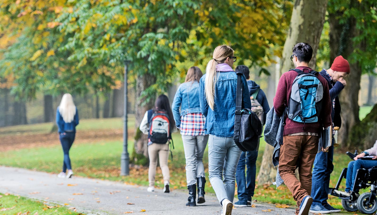 The students go home. Студенты на газоне. Друзья идут в универ. Student Walking. Люди в парке без фона.