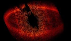 Fomalhaut system Hubble image