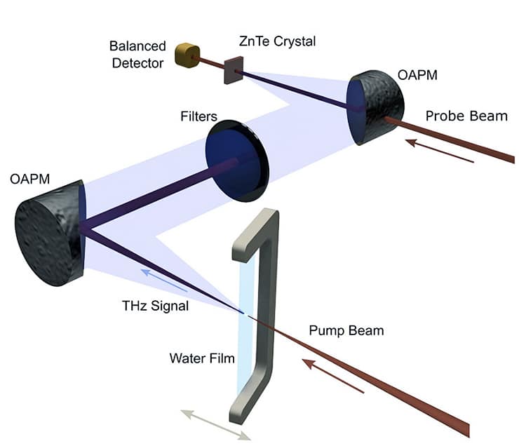 terahertz waves setup