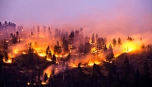 wildfire on mountain
