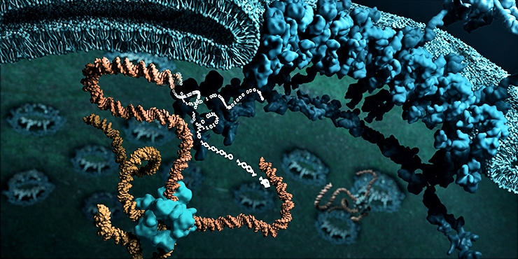 DNA zipping artist's illustration