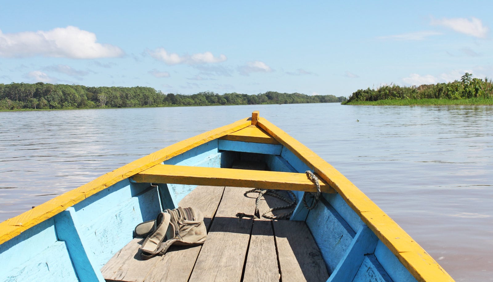 Hundreds of new dams threaten Amazon's 'heartbeat' Futurity