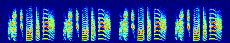 birdsongs linear sequence