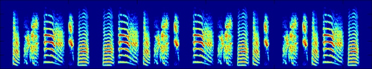 birdsongs random sequence