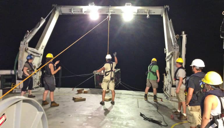 Ocean's deepest fish thrives 26,000 feet below surface - Futurity