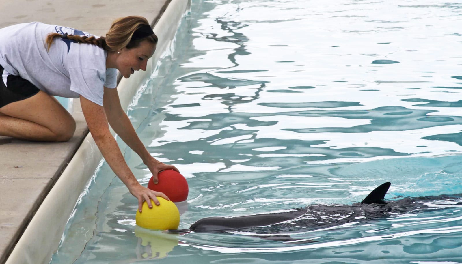 researcher plays with Moonshine the dolphin