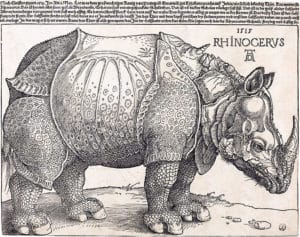 Albrecht Dürer's The Rhinoceros