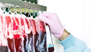 hand in pink glove adjust bags of donor blood