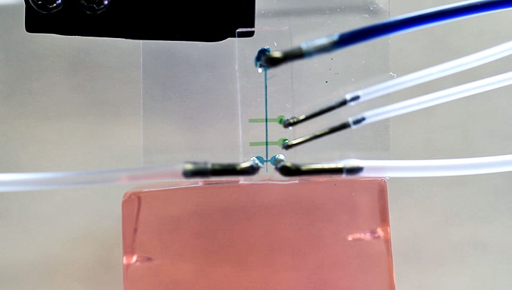 Delivering carbon nanotube fiber into agarose
