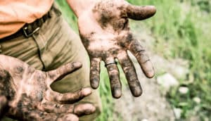 hands covered with soil