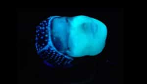 doll's head (3D printing with bacteria)