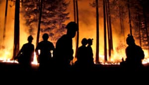 forest fire (fires, carbon storage, and ecosystems)