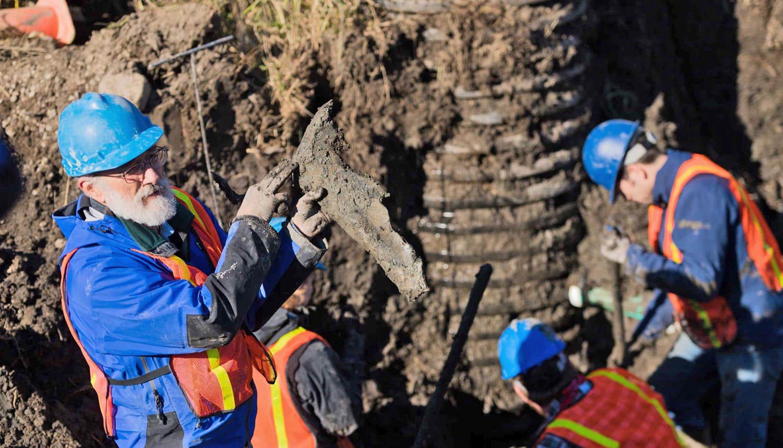 paleontologist holds up muddy mammoth shoulder blade