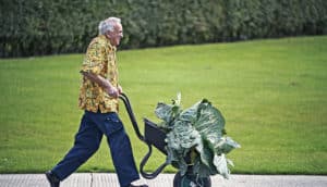 man running with giant cabbage (purpose & healthy habits concept)