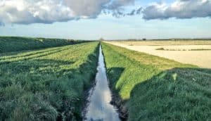 stream near field (streams + watersheds)