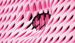 uterine lining concept