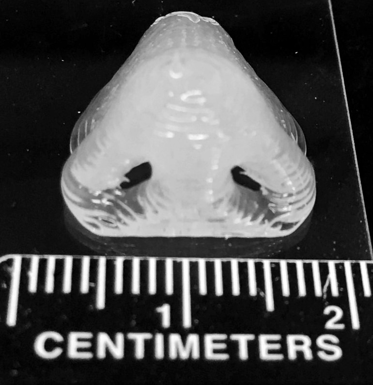 3D printing nose