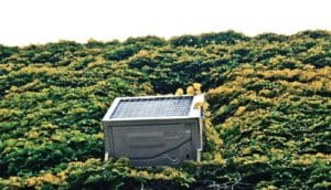 air conditioner sticking out of ivy wall