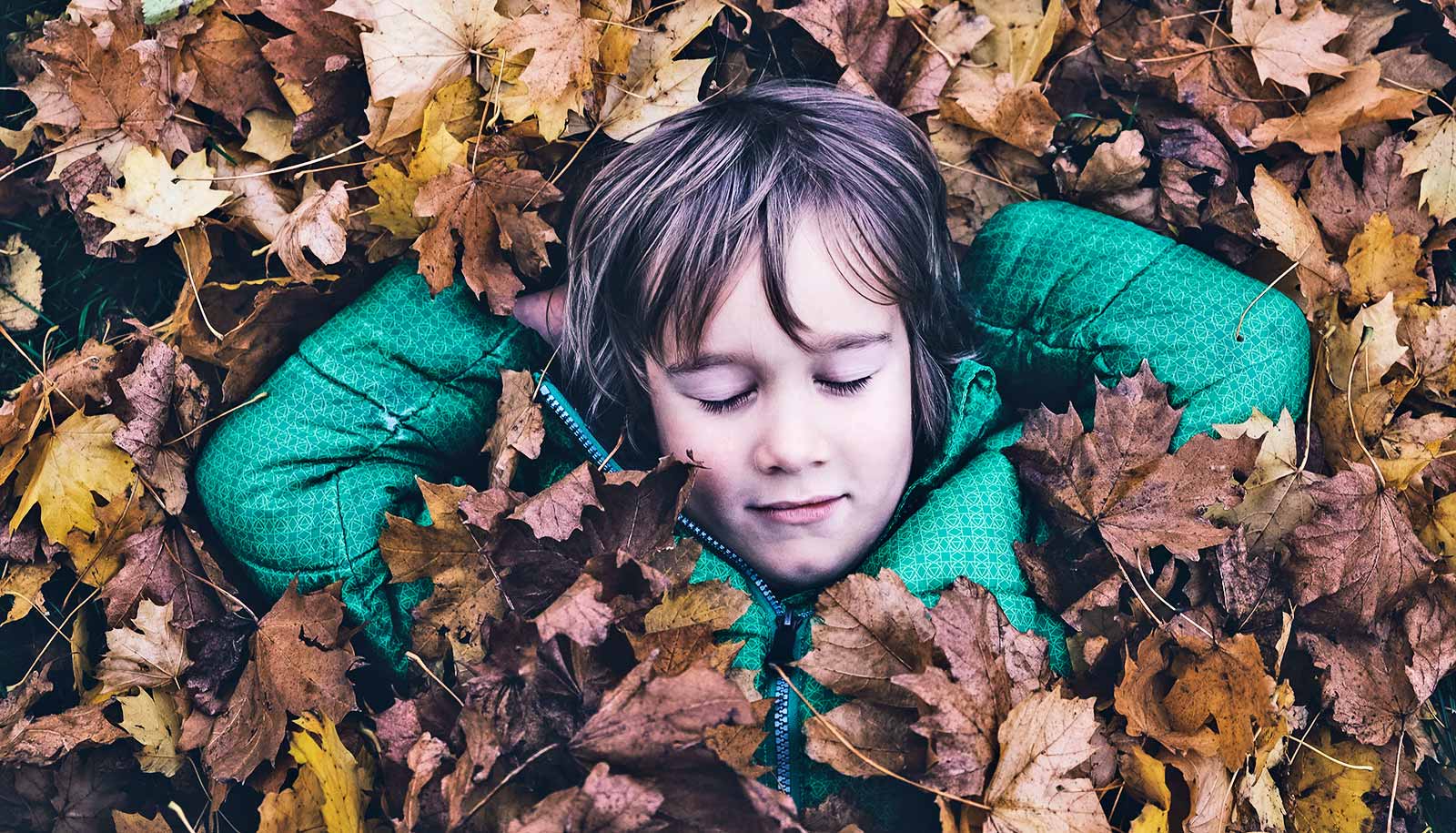 Kids Turn To Screens To Cope With A Chaotic World Futurity >> University Of Iowa Research And Science News Kids Turn To Screens To Cope With A Chaotic World Futurity >> University Of Iowa Research And Science News