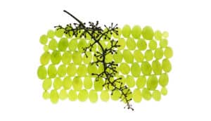 green grapes and stem