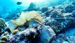 plastic pollution in the ocean