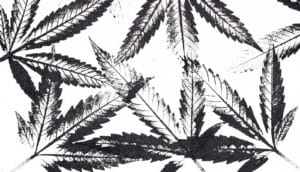 b/w marijuana leaf print