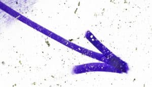 purple arrow down on white