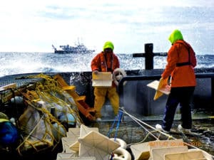 researchers dropping drifters in the ocean