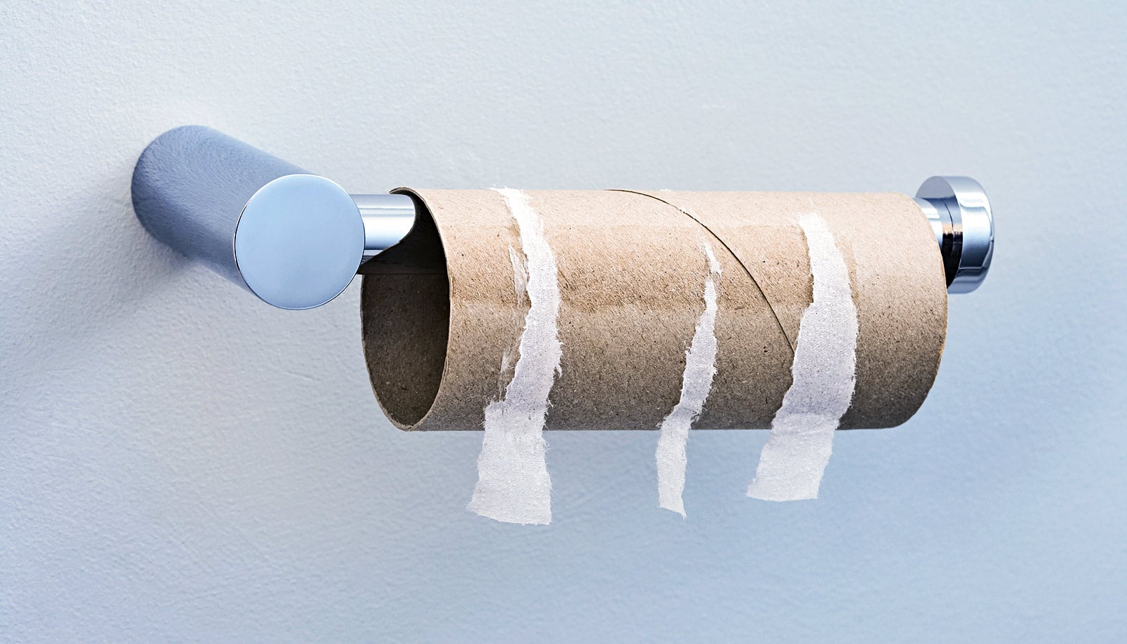 toilet-paper-roll_1600 - Futurity, image size:1600x915