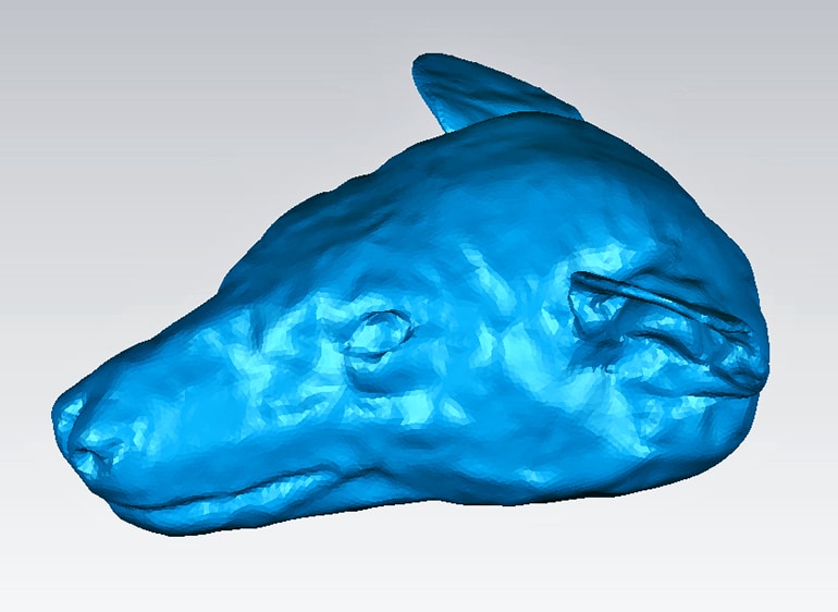 3D mesh of bat head 