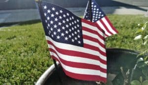 American flags in yard (2016 election concept)