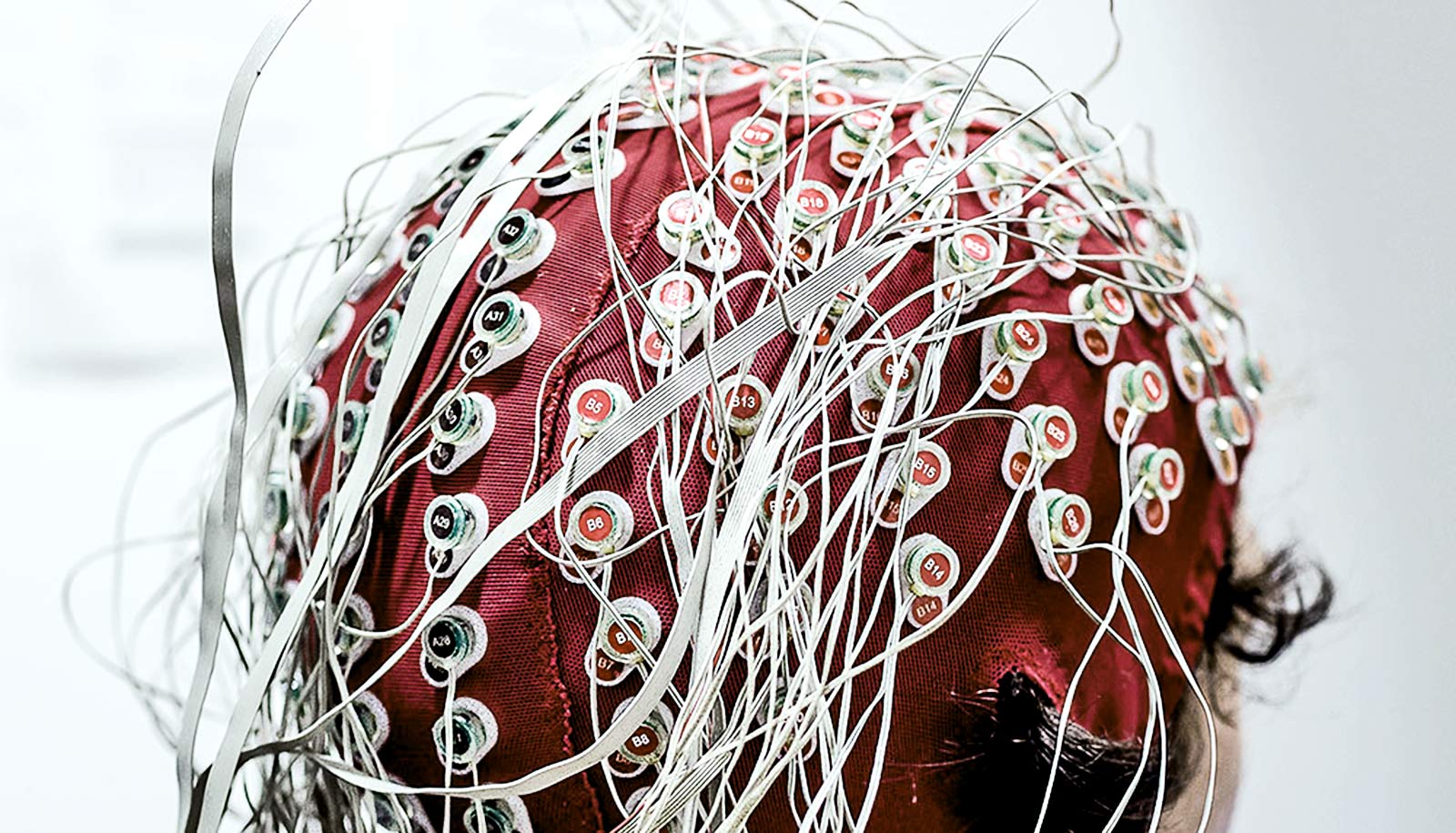 Brain signal shows when you understand what you hear Futurity