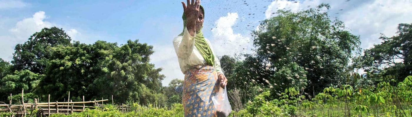 farmer spreading fertilizer