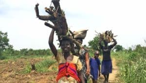 women carrying firewood in Uganda