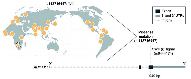 genome data map