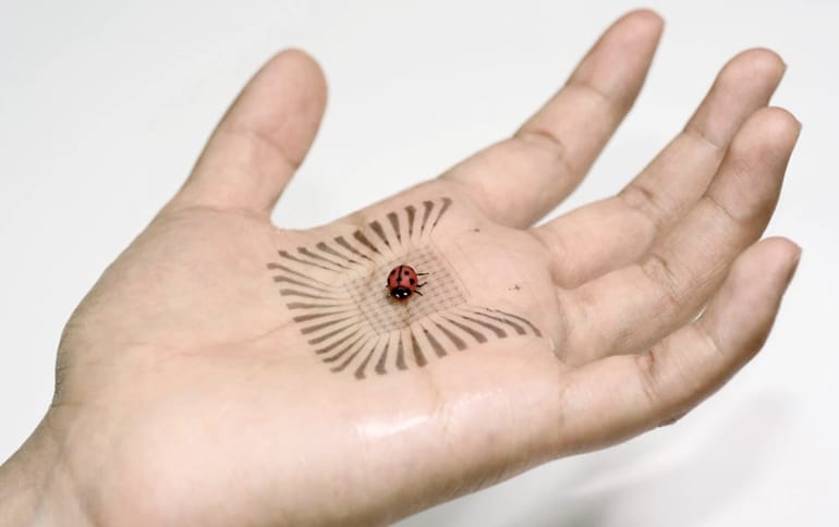 artificial skin on hand with ladybug