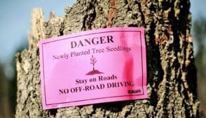pink sign warns of seedlings - reforestation